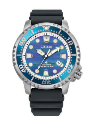 CITIZEN BN0167-09W
